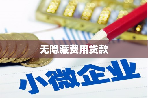 乐东无隐藏费用贷款