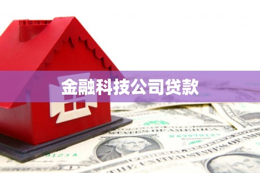 乐东金融科技公司贷款