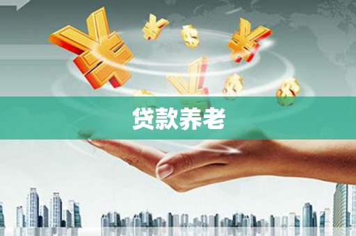 乐东贷款养老