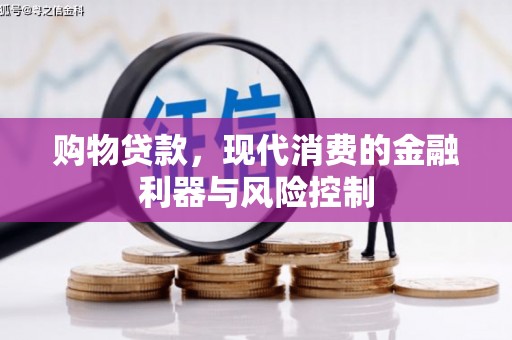 乐东购物贷款，现代消费的金融利器与风险控制