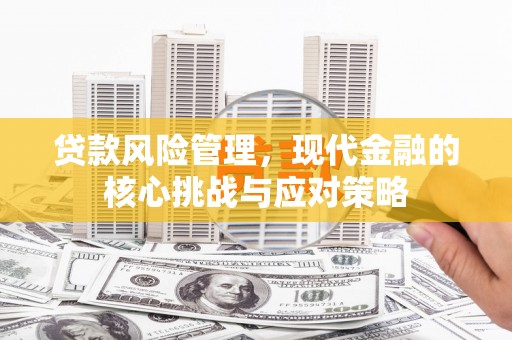 乐东贷款风险管理，现代金融的核心挑战与应对策略