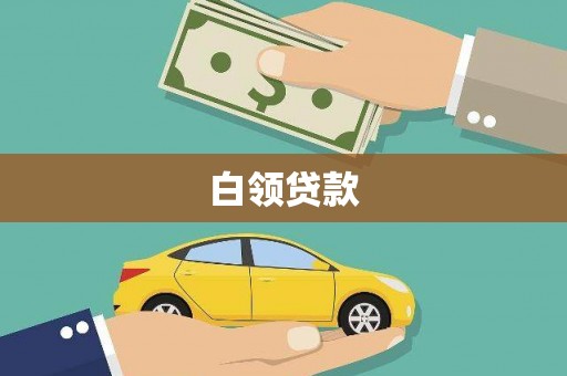 乐东白领贷款