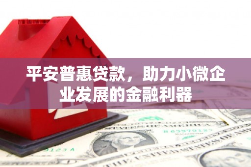 乐东平安普惠贷款，助力小微企业发展的金融利器