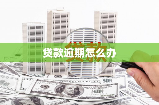 乐东贷款逾期怎么办