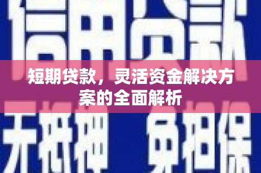 乐东短期贷款，灵活资金解决方案的全面解析