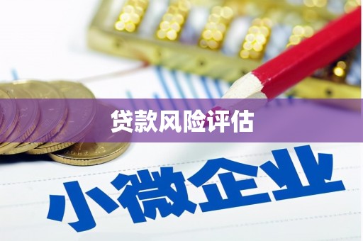 乐东贷款风险评估