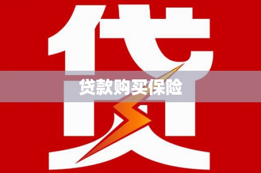 乐东贷款购买保险