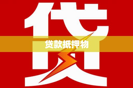 乐东贷款抵押物