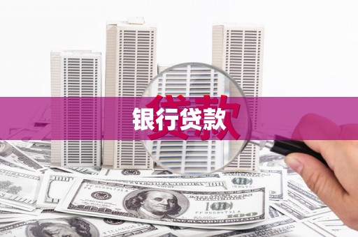 乐东银行贷款