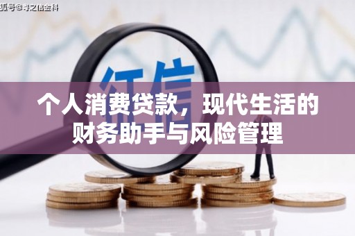 乐东个人消费贷款，现代生活的财务助手与风险管理