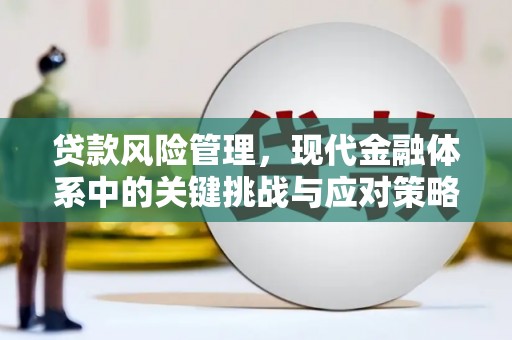乐东贷款风险管理，现代金融体系中的关键挑战与应对策略