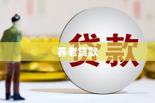 乐东养老贷款