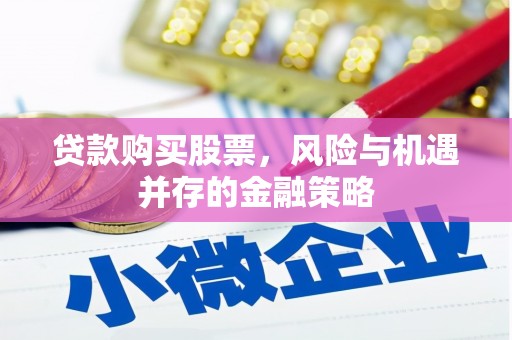 乐东贷款购买股票，风险与机遇并存的金融策略