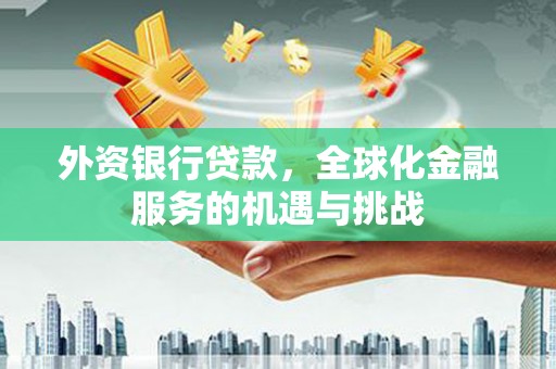 乐东外资银行贷款，全球化金融服务的机遇与挑战