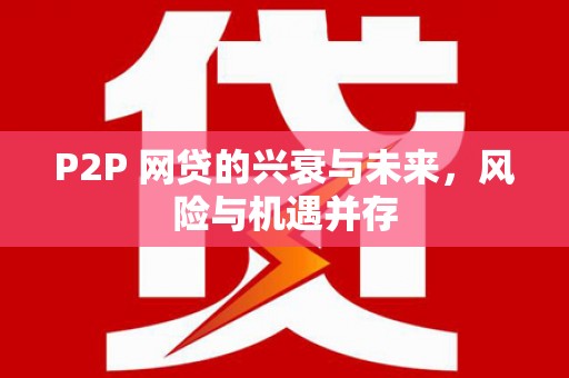 乐东P2P 网贷的兴衰与未来，风险与机遇并存