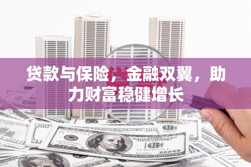 乐东贷款与保险，金融双翼，助力财富稳健增长