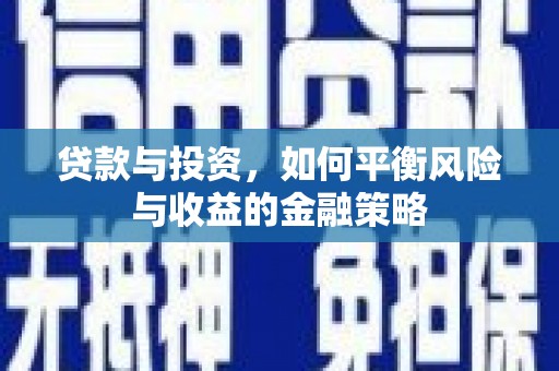 乐东贷款与投资，如何平衡风险与收益的金融策略