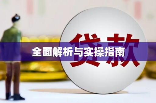 乐东全面解析与实操指南