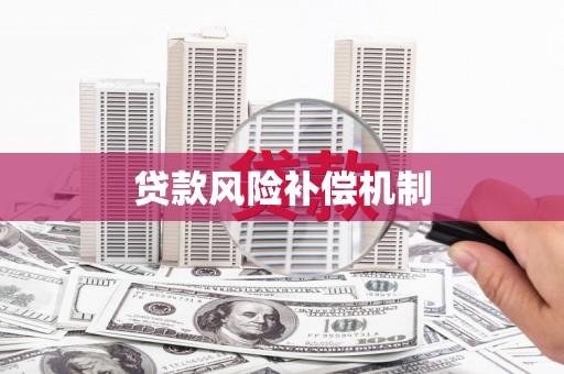 乐东贷款风险补偿机制