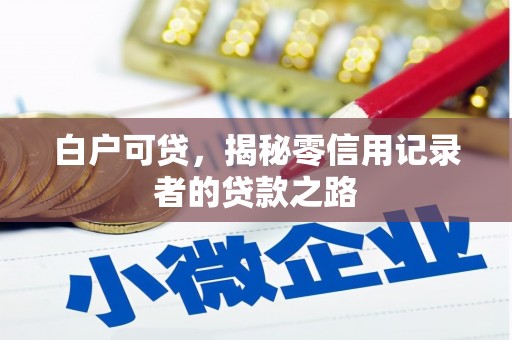 乐东白户可贷，揭秘零信用记录者的贷款之路