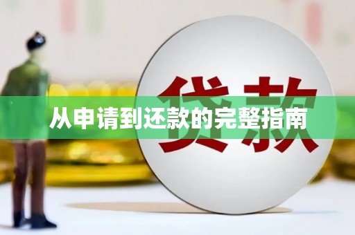 乐东从申请到还款的完整指南