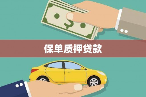 乐东保单质押贷款