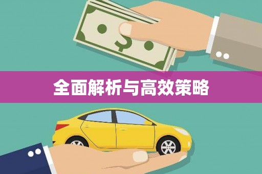 乐东全面解析与高效策略