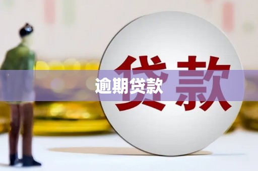 乐东逾期贷款