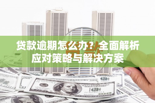 乐东贷款逾期怎么办？全面解析应对策略与解决方案