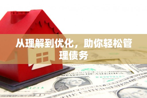 乐东从理解到优化，助你轻松管理债务