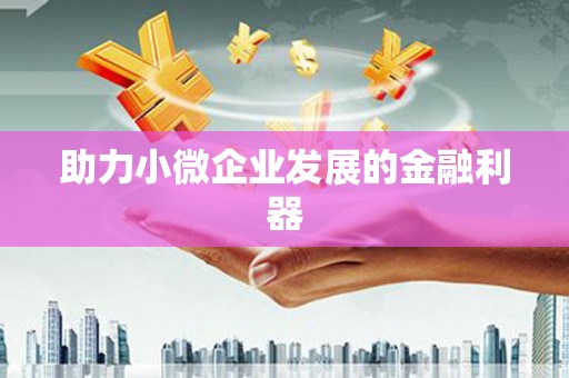 乐东助力小微企业发展的金融利器