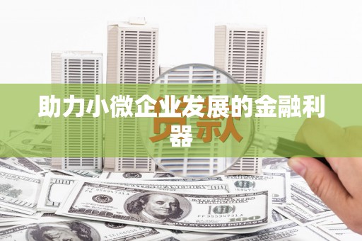 乐东助力小微企业发展的金融利器