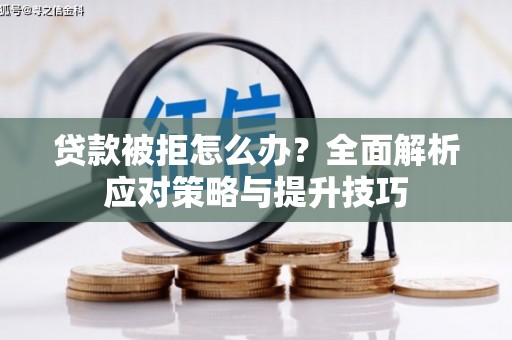 乐东贷款被拒怎么办？全面解析应对策略与提升技巧