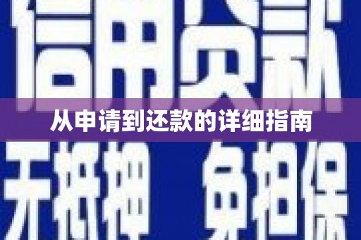 乐东从申请到还款的详细指南