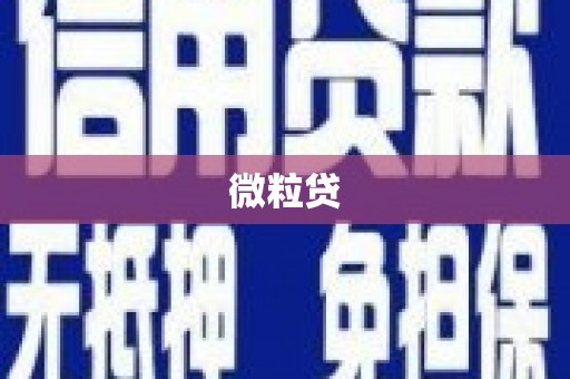 乐东微粒贷