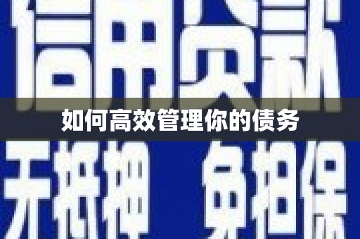 乐东如何高效管理你的债务