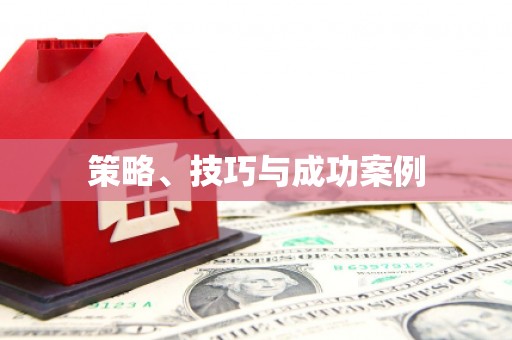 乐东策略、技巧与成功案例