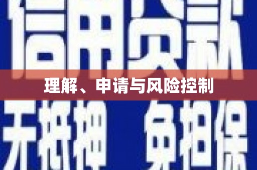 乐东理解、申请与风险控制