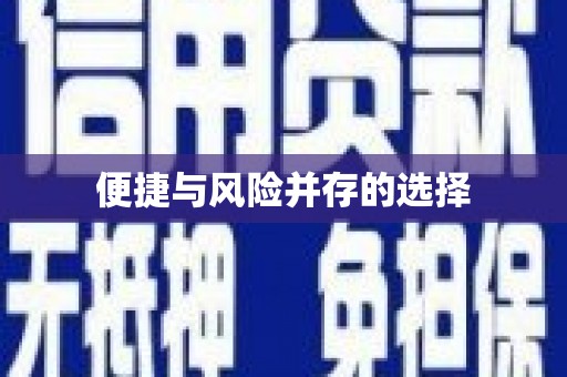 乐东便捷与风险并存的选择