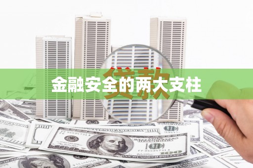 乐东金融安全的两大支柱