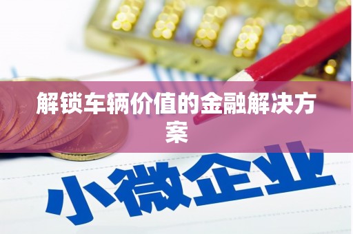 乐东解锁车辆价值的金融解决方案