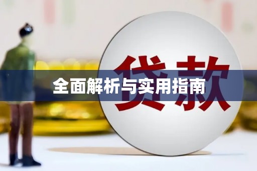 乐东全面解析与实用指南