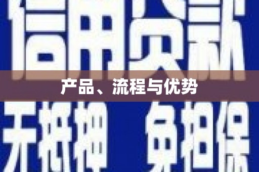 乐东产品、流程与优势