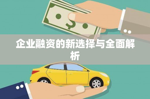 乐东企业融资的新选择与全面解析