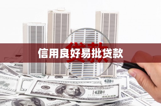 乐东信用良好易批贷款