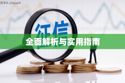 乐东全面解析与实用指南