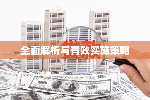 乐东全面解析与有效实施策略