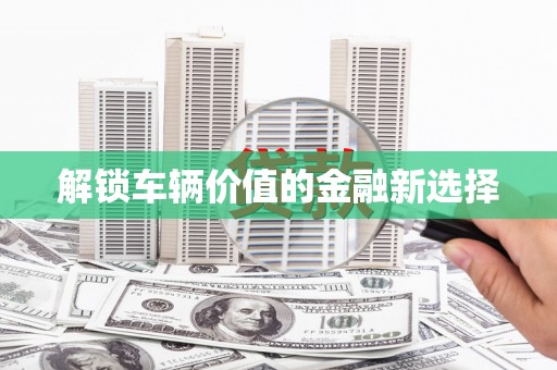 乐东解锁车辆价值的金融新选择