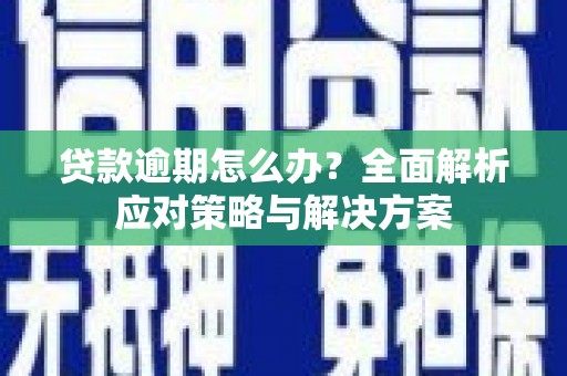 乐东贷款逾期怎么办？全面解析应对策略与解决方案
