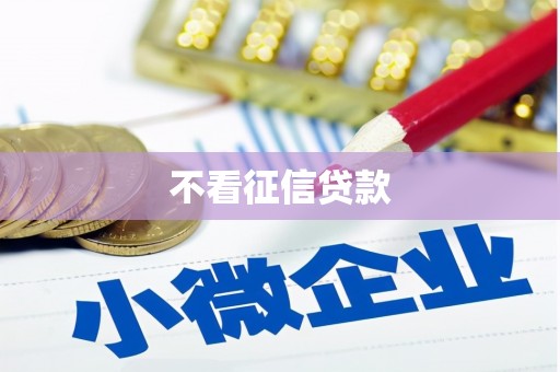 乐东不看征信贷款